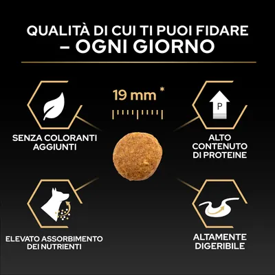 Dimensione delle crocchette 19 mm, senza coloranti, alto contenuto proteico, elevato assorbimento di nutrienti, facilmente digeribile. Qualità di cui puoi fidarti ogni giorno. Dimensione delle crocchette 19 mm, senza coloranti, alto contenuto proteico, elevato assorbimento di nutrienti, facilmente digeribile. Qualità di cui puoi fidarti ogni giorno.