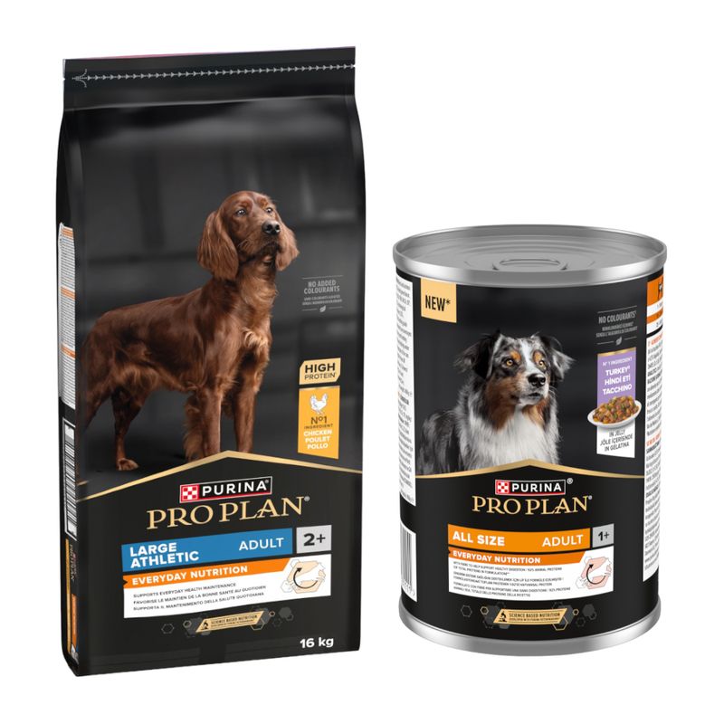 16 kg PURINA PRO PLAN + 12 x 400 g All Size Adult Everyday Nutrition Kalkun gratis!