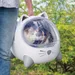 Catit PIXI Mio -kuljetuslaatikko