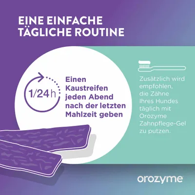 Einen Kaustreifen jeden Abend nach der letzten Mahlzeit geben. Zusätzlich tägliche Zahnpflege mit Orozyme Zahnpflege-Gel empfohlen. Einen Kaustreifen jeden Abend nach der letzten Mahlzeit geben. Zusätzlich tägliche Zahnpflege mit Orozyme Zahnpflege-Gel empfohlen.