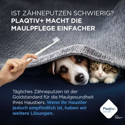 Plaqtiv+ macht die Maulpflege einfacher. Tägliches Zähneputzen ist der Goldstandard, bei empfindlichen Haustieren gibt es weitere Lösungen. Plaqtiv+ oral care mit XPERSIV. Plaqtiv+ macht die Maulpflege einfacher. Tägliches Zähneputzen ist der Goldstandard, bei empfindlichen Haustieren gibt es weitere Lösungen. Plaqtiv+ oral care mit XPERSIV.