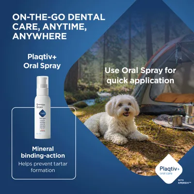 Plaqtiv+ Oral Spray mit Mineralbindung zur Vorbeugung von Zahnstein. Schnelle Anwendung unterwegs empfohlen. 60 ml. Plaqtiv+ oral care mit XPERSIV.