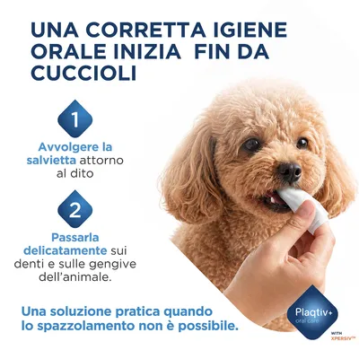Istruzioni per l'igiene orale: avvolgere il panno umido attorno al dito, passarlo delicatamente sui denti e sulle gengive dell'animale. Soluzione pratica in assenza di spazzolino da denti. Plaqtiv+ oral care. Istruzioni per l'igiene orale: avvolgere il panno umido attorno al dito, passarlo delicatamente sui denti e sulle gengive dell'animale. Soluzione pratica in assenza di spazzolino da denti. Plaqtiv+ oral care.