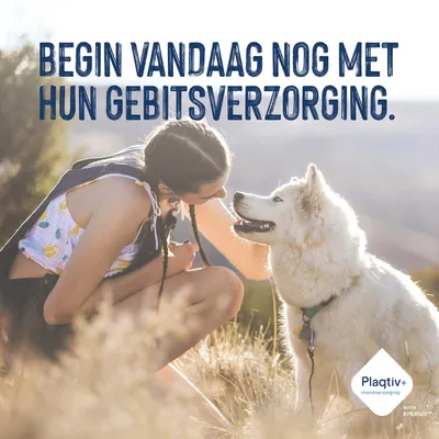 Begin vandaag nog met de gebitsverzorging voor uw huisdier. Plaqtiv+ mondverzorging met XPERSIV.