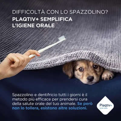 Plaqtiv+ semplifica l'igiene orale negli animali. Si raccomanda quotidianamente l'uso di spazzolino e dentifricio, ma esistono alternative per gli animali che non lo tollerano. Plaqtiv+ semplifica l'igiene orale negli animali. Si raccomanda quotidianamente l'uso di spazzolino e dentifricio, ma esistono alternative per gli animali che non lo tollerano.