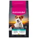 Eukanuba Adult Breed Care Jack Russell Terrier