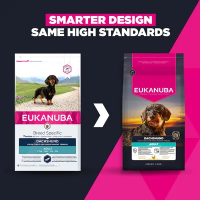 Eukanuba Adult Breed Care Specific Dachshund