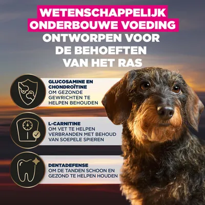 Glucosamine en chondroïtine voor gezonde gewrichten, L-carnitine voor vetverbranding en het behoud van soepele spieren, Dentadefense voor schone en gezonde tanden. Glucosamine en chondroïtine voor gezonde gewrichten, L-carnitine voor vetverbranding en het behoud van soepele spieren, Dentadefense voor schone en gezonde tanden.