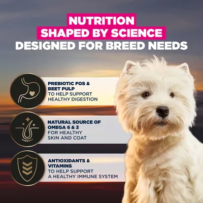 Eukanuba Adult Breed Care Specific West Highland White Terrier