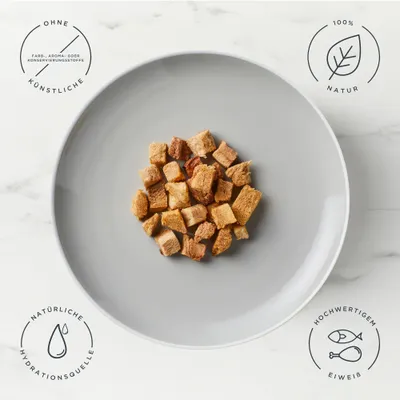 Encore Cat Treats mit Thunfischfilet - 10 g Encore Cat Treats mit Thunfischfilet - 10 g
