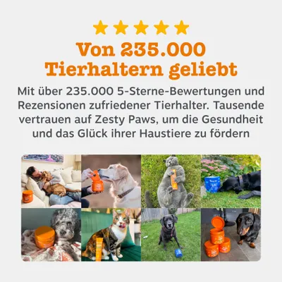 Von 235.000 Tierhaltern geliebt. Über 235.000 5-Sterne-Bewertungen für Zesty Paws, Förderung von Gesundheit und Glück der Haustiere durch zufriedene Tierhalter. Von 235.000 Tierhaltern geliebt. Über 235.000 5-Sterne-Bewertungen für Zesty Paws, Förderung von Gesundheit und Glück der Haustiere durch zufriedene Tierhalter.