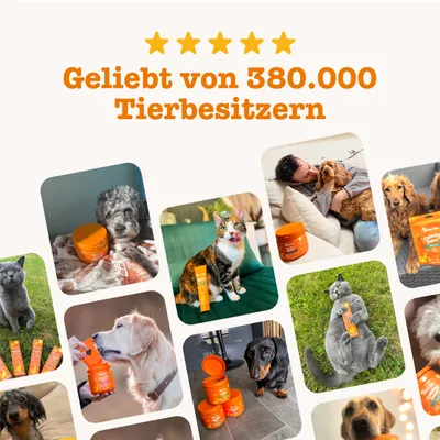 Öt csillag és szöveg: 380 000 állattartó kedvence, narancssárga termékcsomagolások mellett kutyákkal és macskákkal készült fotók veszik körül. Öt csillag és szöveg: 380 000 állattartó kedvence, narancssárga termékcsomagolások mellett kutyákkal és macskákkal készült fotók veszik körül.