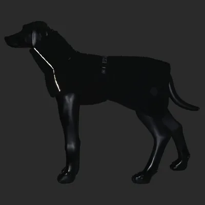 Svart hundjacka med reflekterande rand vid halsområdet, presenterad på en svart hundmodell. Svart hundjacka med reflekterande rand vid halsområdet, presenterad på en svart hundmodell.