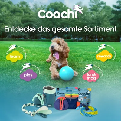 Coachi. Entdecke das gesamte Sortiment. Kategorien: learn Rückruf & ruhig bleiben, play Spiel & Belohnung, rewards Belohnung & Beschäftigung, fun & tricks Tricks & Apportieren.