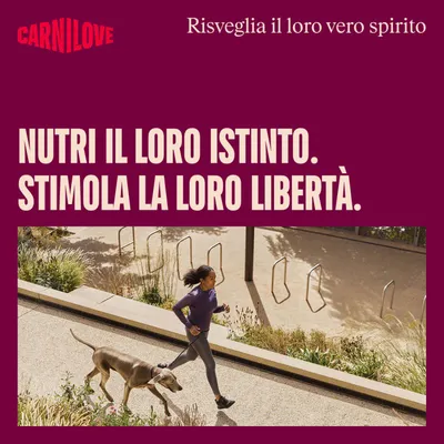 Carnilove. Nutri il loro istinto. Stimola la loro libertà. Risveglia il loro vero spirito. Donna che cammina con il cane al guinzaglio all'aperto. Carnilove. Nutri il loro istinto. Stimola la loro libertà. Risveglia il loro vero spirito. Donna che cammina con il cane al guinzaglio all'aperto.