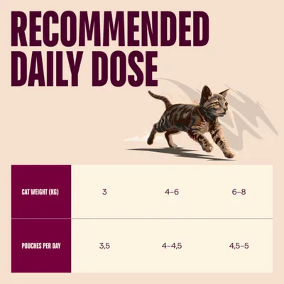Aanbevolen dagelijkse hoeveelheid: Kattengewicht 3 kg = 3,5 zakjes, 4–6 kg = 4–4,5 zakjes, 6–8 kg = 4,5–5 zakjes per dag.