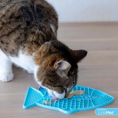 Katze leckt Futter von einer blauen LickiMat in Fischform. Authentisch LickiMat-Logo sichtbar.