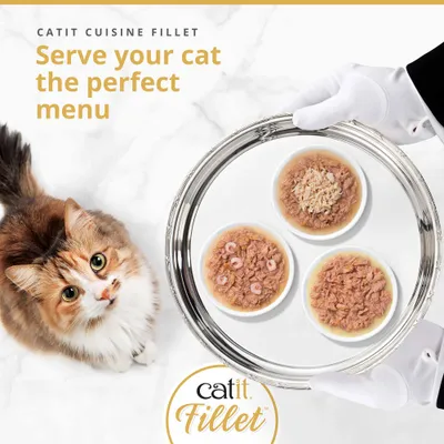 Catit Cuisine Fillet. Serve your cat the perfect menu. Three bowls with fillet food on a tray, cat beside them. Catit Cuisine Fillet. Serve your cat the perfect menu. Three bowls with fillet food on a tray, cat beside them.