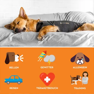 Hund mit grauer Anti-Stress-Weste, darunter Symbole für Bellen, Gewitter, Alleinsein, Reisen, Tierarztbesuch und Training als Anwendungsbereiche.