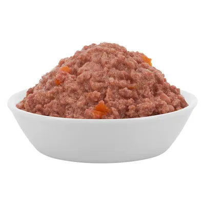 Миска с влажным мясным кормом для животных и видимыми оранжевыми кусочками.