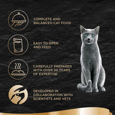 Teksti: Complete and balanced cat food, easy to open and feed, carefully prepared with over 30 years of expertise, developed in collaboration with scientists and vets. Kuvakkeet ja kissa.