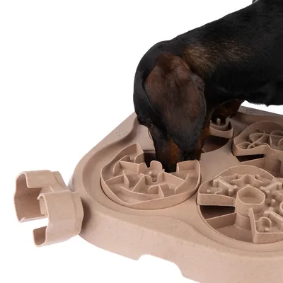 Hund nosar i en beige aktivitetsbräda med flera labyrintformade fack av plast. Endast hundens huvud och brädan syns tydligt.