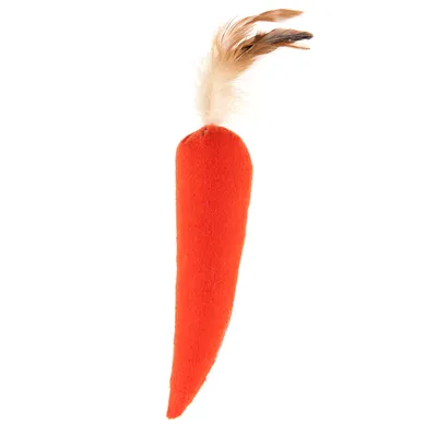 Giocattolo a forma di carota arancione con piume all'estremità superiore, adatto per pet.
