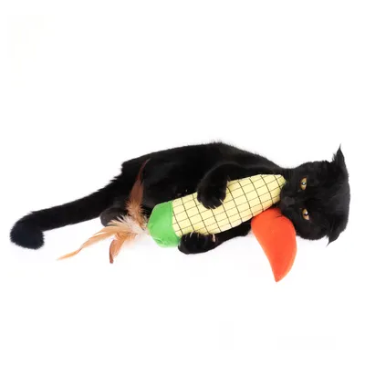 Gatto nero gioca con un gioco a forma di pannocchia di mais, composto da tessuto verde, giallo e arancione e piume.