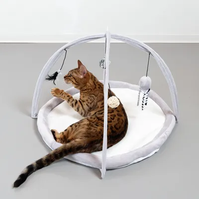 Tapis rond pour chat avec arches en tissu gris, jouets suspendus (plume, balle, peluche) et chat tigré allongé à l’intérieur. Matériaux visibles : tissu, peluche, corde.