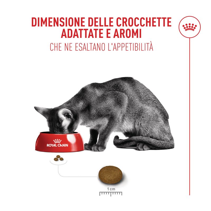 Royal Canin Fussy Exigent