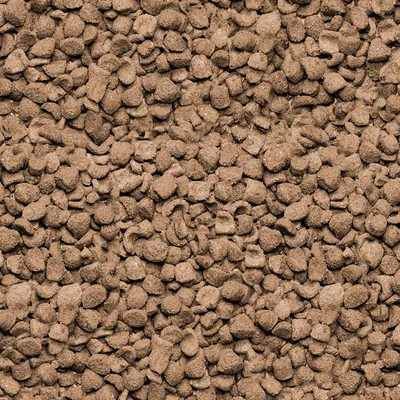 Close-up of brown dry food pieces in various shapes and sizes.