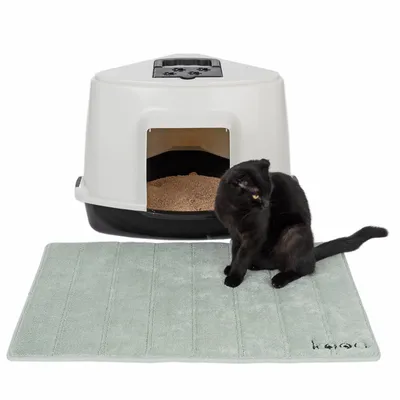 Caja de arena para gatos con alfombrilla gris y gato negro. Abertura de entrada visible, rellena de arena. Alfombrilla con logo 'kooa' abajo a la derecha.