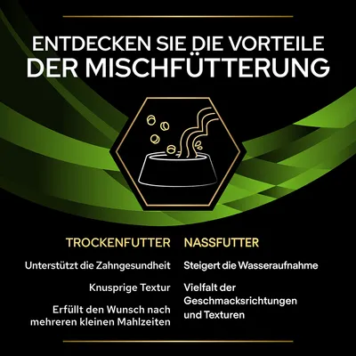 Entdecken Sie die Vorteile der Mischfütterung: Trockenfutter unterstützt Zahngesundheit, knusprige Textur, kleine Mahlzeiten. Nassfutter steigert Wasseraufnahme, Vielfalt an Geschmacksrichtungen.