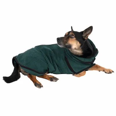 Cão de porte médio a usar um casaco verde escuro com capuz, de tecido tipo felpa. Casaco cobre o corpo e parte das patas do cão. Fundo branco.