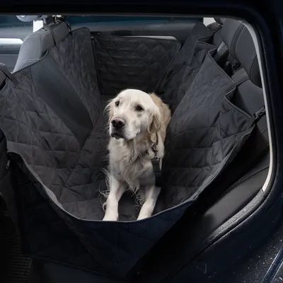 Svart, vadderat bilskydd på baksätet med säkerhetsbälten, hund sitter på. Synligt skydd mot smuts och repor i bilen.