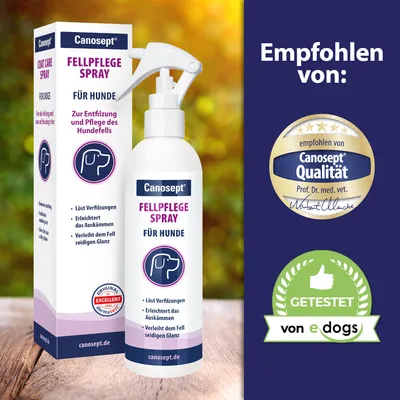 Canosept Fellpflege Spray für Hunde. Löst Verfilzungen, erleichtert das Auskämmen, verleiht dem Fell seidigen Glanz. Empfohlen von Canosept Qualität und getestet von eDogs.
