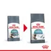 Royal Canin Hairball Care