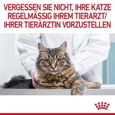 Vergessen Sie nicht, Ihre Katze regelmässig Ihrem Tierarzt/Ihrer Tierärztin vorzustellen. Royal Canin Logo unten rechts.