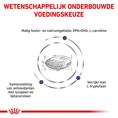 Wetenschappelijk onderbouwde voedingskeuze. Matig fosfor- en natriumgehalte, EPA+DHA, L-carnitine. Samenstelling antioxidanten met lycopeen en bètacaroteen. Verrijkt met L-tryptofaan.
