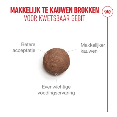 Kroket met aanwijzingen: betere acceptatie, gemakkelijker te kauwen, een uitgebalanceerde voedingservaring. Bovenstaande tekst: Gemakkelijk te kauwen kroketten voor een gevoelig gebit.