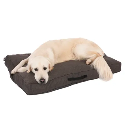 Hund liegt auf einem dunkelgrauen Hundekissen mit Tragegriff. Produkt zeigt Komfort und Grösse des Kissens.