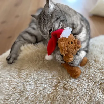 Aumüller nallebjörn med tomteluva