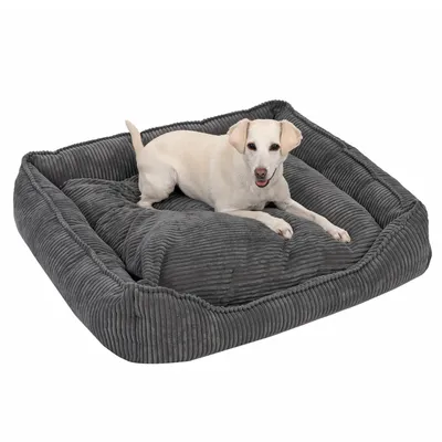 Graues Hundebett mit geripptem Stoff, rechteckige Form. Ein heller Hund liegt entspannt darauf.