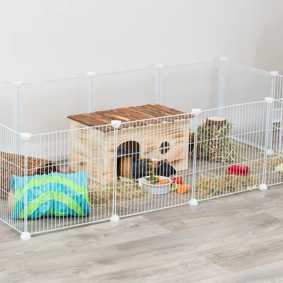 Enclos pour rongeur avec barrières blanches, maisonnette en bois, tunnel coloré, gamelle de nourriture, foin et jouets. Un cochon d’Inde visible à l’intérieur.