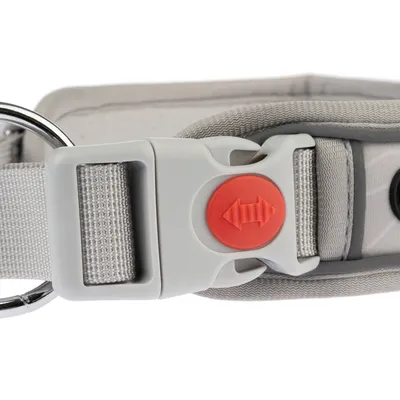 Primo piano di un collare per cani grigio con chiusura di sicurezza rossa e anello metallico per il guinzaglio.