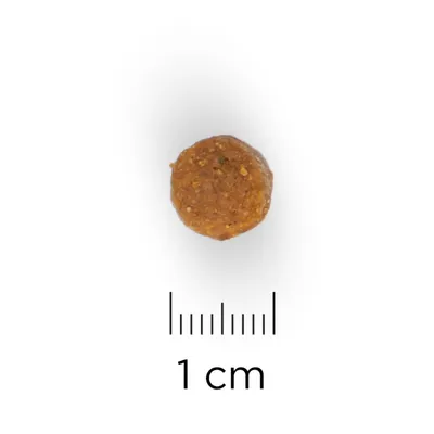 Yksi ruskea nappula, halkaisija noin 1 cm, mitta-asteikon vieressä. Näyttää lemmikkien kuivaruokanappulalta.