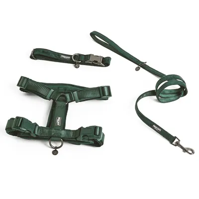 Grönt set med hundsele, halsband och koppel med justerbara spännen och metallringar.
