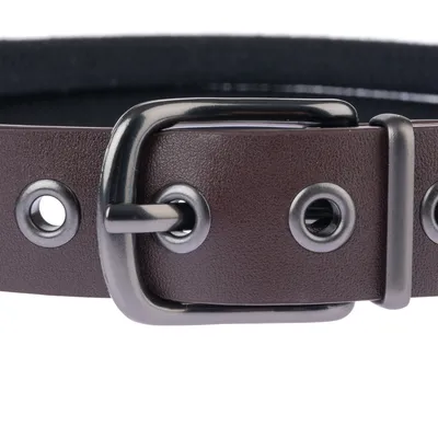 Close-up of a brown dog collar with metal buckle and eyelets.