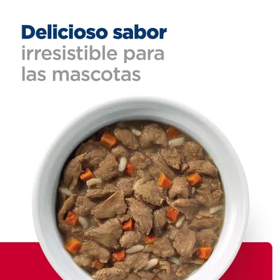 Texto: Delicioso sabor irresistible para las mascotas. Cuenco blanco con comida húmeda de trozos marrones, zanahoria y arroz visibles.