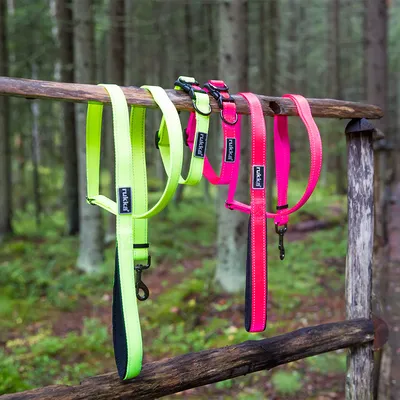 Rukka Hundeleinen in Neonfarben, Gelb und Pink, mit reflektierenden Streifen und robusten Metallhaken, aufgehängt an einem Holzgeländer im Wald.